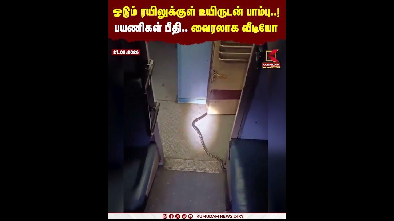 ஓடும் ரயிலுக்குள் உயிருடன் Snake ..! பயணிகள் பீதி | Indian Railways | Train | Passenger Safety
