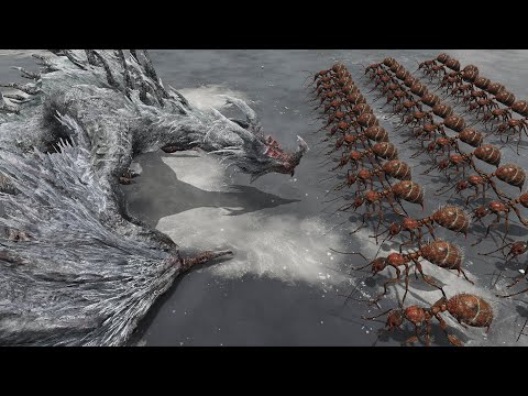 26 Giant Ants Vs Bosses - Elden Ring