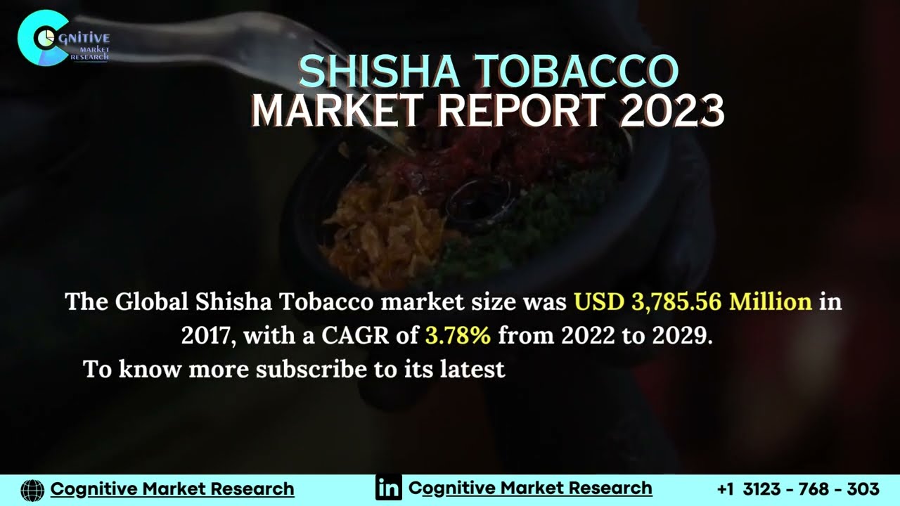 Shisha Tobacco  Market Insights