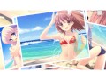 Flyable Heart opening 
