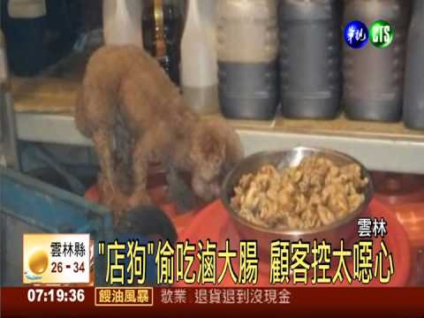 "店狗"偷吃滷大腸 顧客控太噁心
