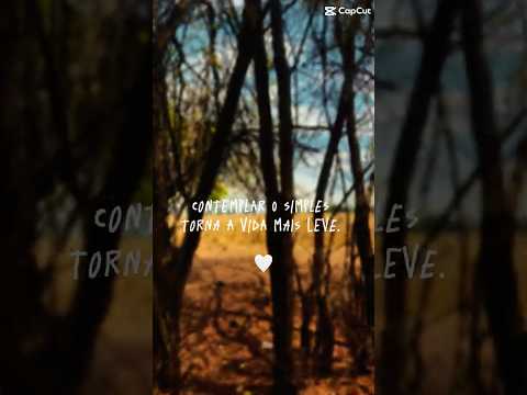 Andando por Lagoa Santa, descobri esse caminho incrível! #lagoasanta #minasgerais #viagem #trip