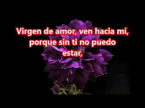 ADORACION   RODOLFO BIAGGI