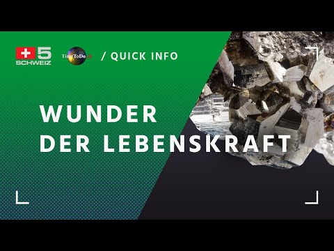 Wunder der Lebenskraft - Stephan Petrowitsch | Quick-Info TimeToDo.ch
