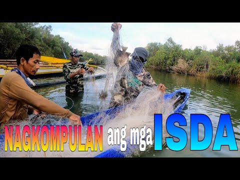 EP494:PART1-KAILANGAN SISIRIN PARA MAKAHULI NG ISDA