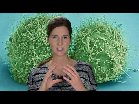 Fuß Osteochondrose Behandlung der Volksmedizin Symptome von Osteoarthritis des Knies von 4 Grad