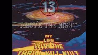 Final Blindness - My Life With The Thrill Kill Kult