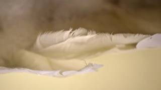 "Spread Your Wings, It's Time To Fly"