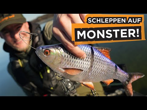 Richtig schleppen auf Hecht – So geht’s Schritt für Schritt!