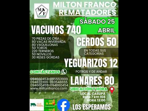25/4/2026 Local Casupá - Florida - Feria mensual - Milton Franco | Clic Rural