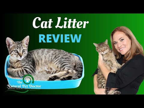 Cat Litter Review with Dr. Katie Woodley - The Natural Pet Doctor