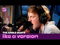 Like A Version: The Jungle Giants - She's A Riot ...