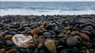 Carla Bruni - The Winner Takes It All