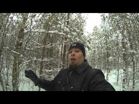 Niin jatketaas matkaa