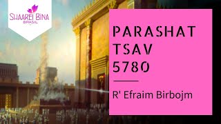 Parashat Tsav 5780