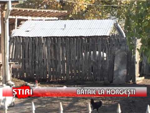 Bataie la Horgeşti - www.1tvbacau.ro (24.07.2013)
