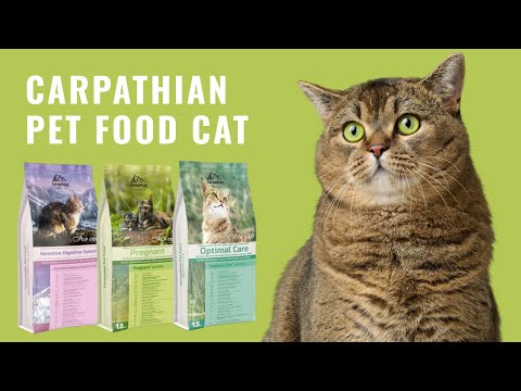 Вологий корм Carpathian Pet Food Meat mix in sauce для дорослих собак малих порід, м'ясний мікс у соусі, 100 г video