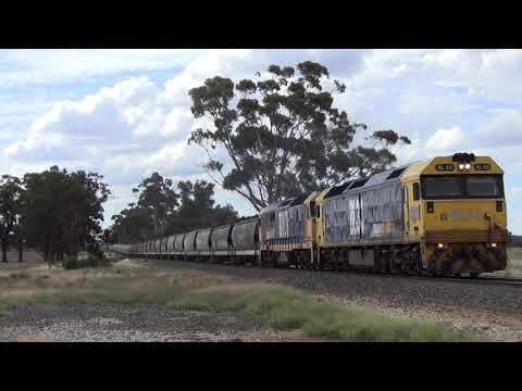 BL33 leads Class leader 8101 with loaded grain at Havelock Vic. 24.2.2020