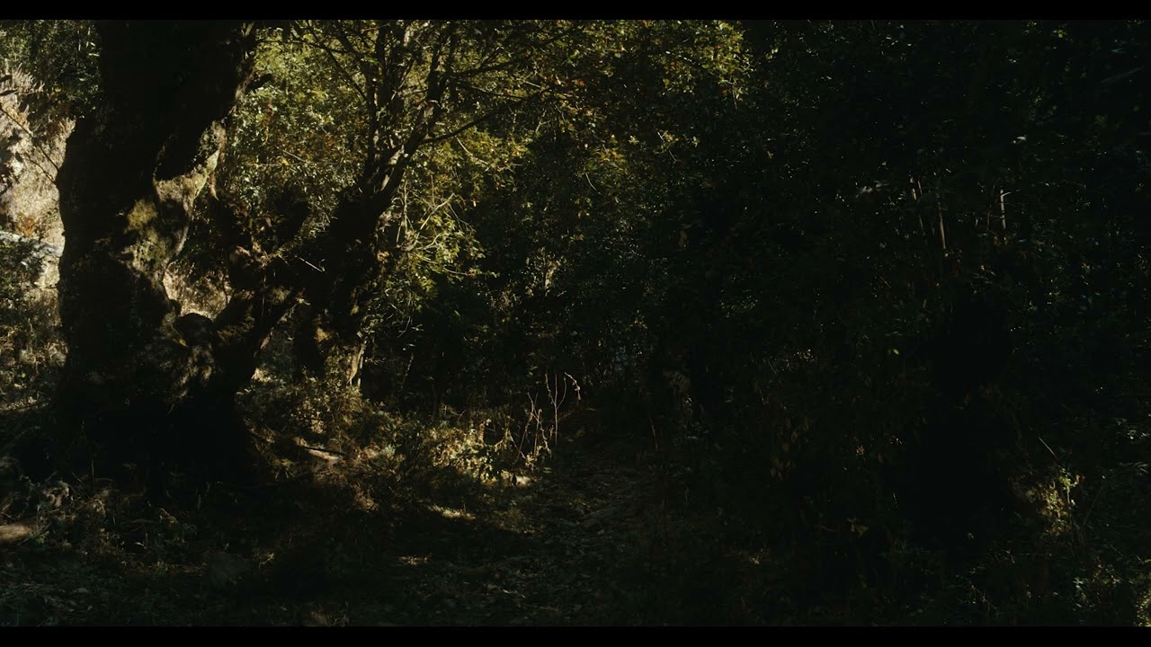 In Our Panic Trailer