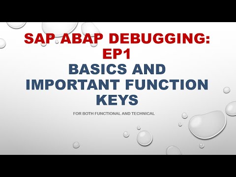 SAP ABAP Debugging EP1: Debugging Basics and Function Keys (For Both Functionals and Technical)