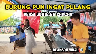 Download lagu KLAKSON VIRAL!!! BURUNG SAJA TERBANG TAK LUPA PULANG VERSI GONDANG NOSTALGIA - VIRAL DI TIKTOK mp3 Download lagu KLAKSON VIRAL!!! BURUNG SAJA TERBANG TAK LUPA PULANG VERSI GONDANG NOSTALGIA - VIRAL DI TIKTOK mp3