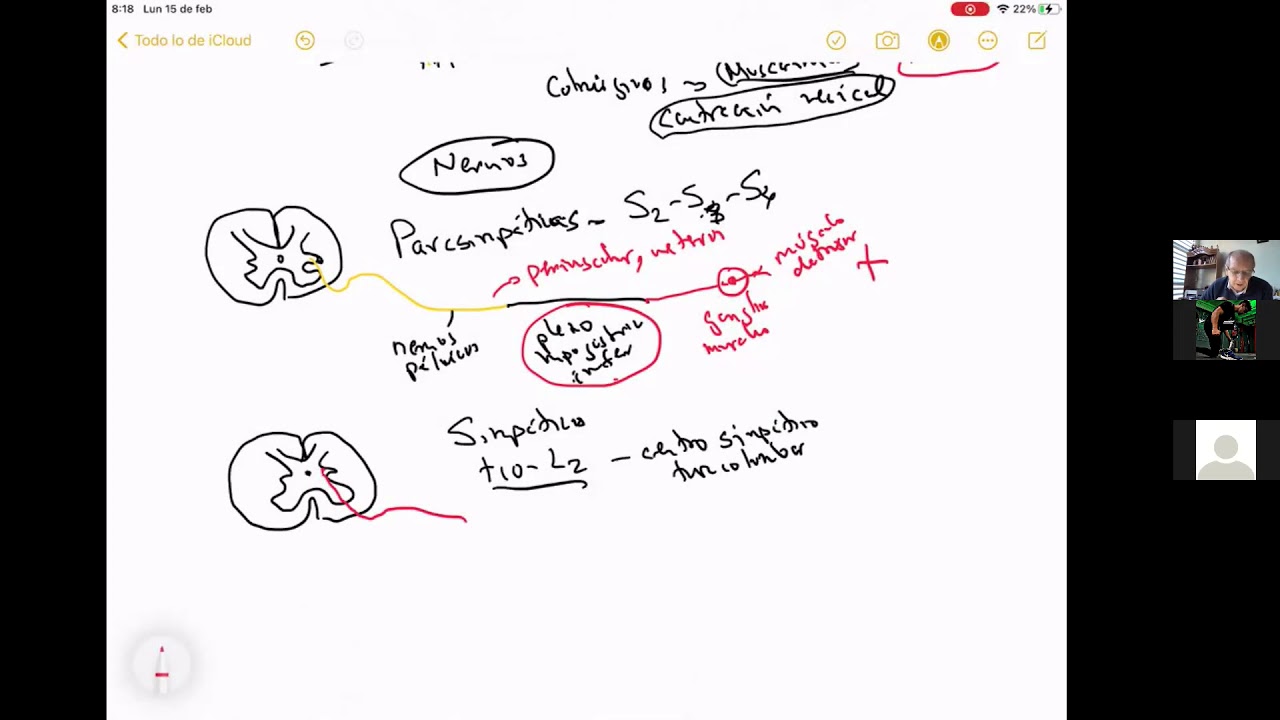 Dr  Delgado - Vejiga neurogénica