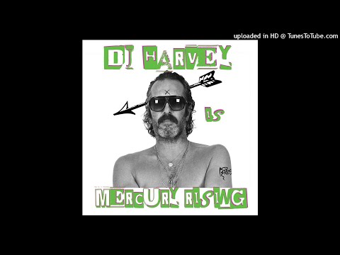 Switchdance - Arabian Ride