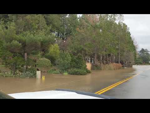 Flooding in Birch Bay 11/2021