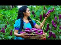 Sri Lankan Snacks With Farm Fresh Brinjals Brinjal Curry Fried Brinjals Dragon Fruit Pudding