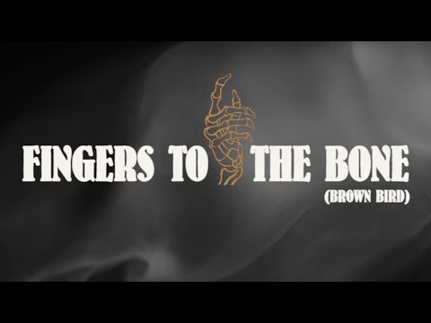 The Devil Makes Three - Fingers To The Bone (Live) (Lyric Video)