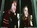 Hermione Darcy S Wild Life