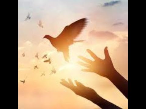 Prayer Cycle - Mercy 🎼🎧