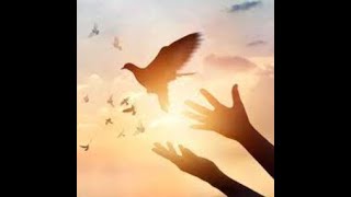 Prayer Cycle - Mercy 🎼🎧