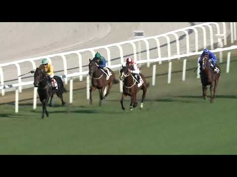 2018.10.14. 06. futam - KÁLLAI PÁL EMLÉKVERSENY - BUDAPESTI DÍJ (HUN Gd-3)