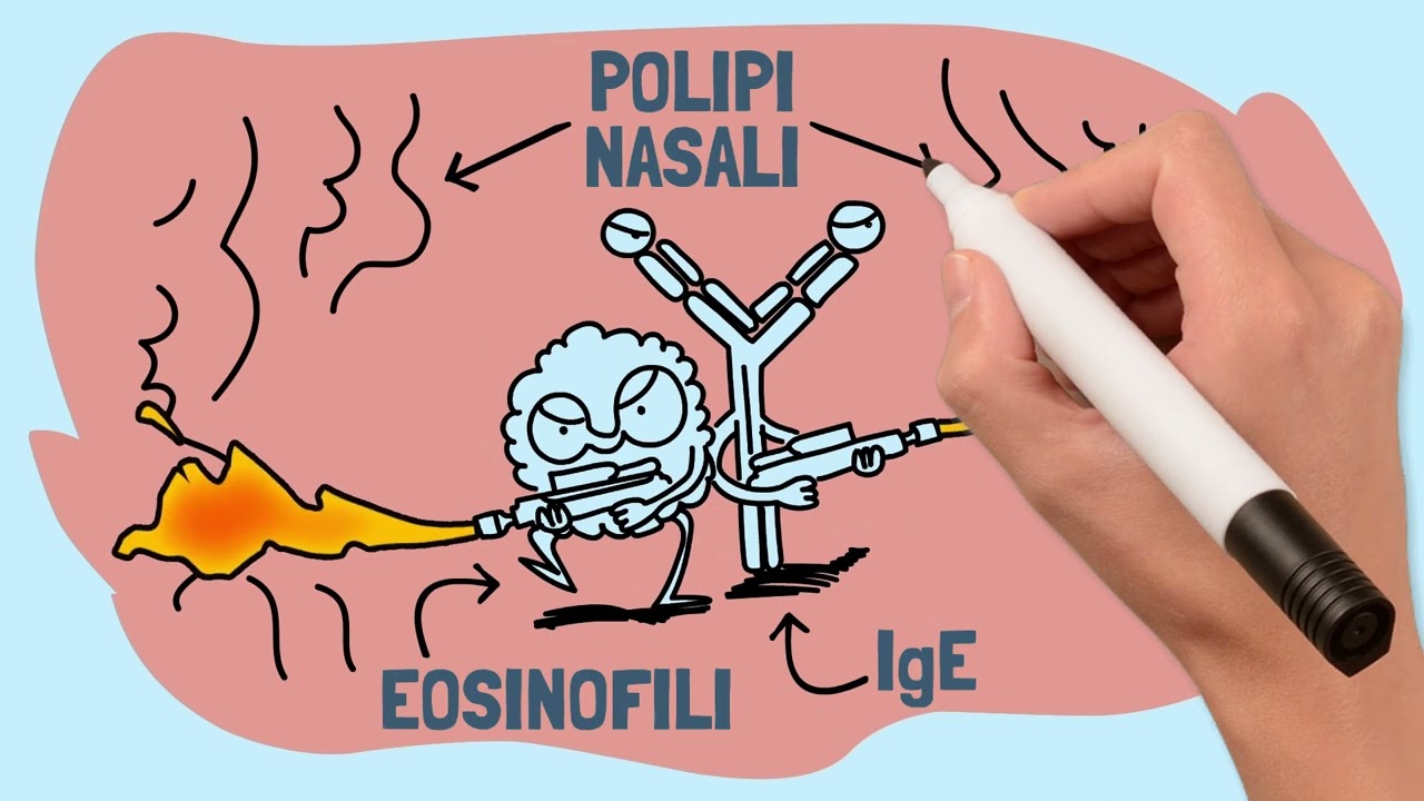 Alessio De Massimi-29