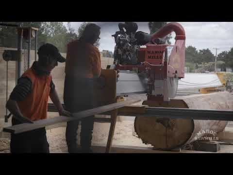 Introducing the Mahoe Minimax