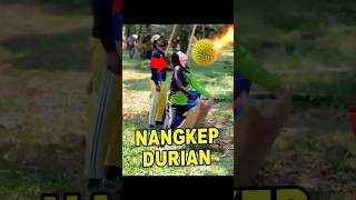 Download lagu Kerja Rasa Perang‼️ Lucu, Cewek ini Harus Nangkep Durian Kayak Granat 😲 mp3