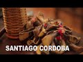 Santiago Cordoba (Violentango - Argentina)