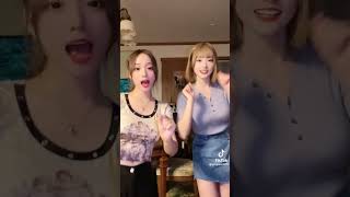 どっちも可愛いけど、個人的には右かな #shorts