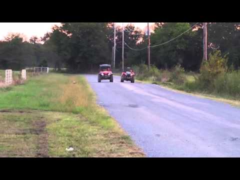 Cf moto 800 vs. Wildcat trail