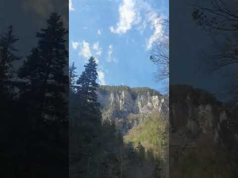 Невесто мори. Nevesto mori