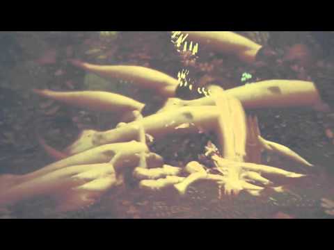 Chroma & Inexcess - I Can't