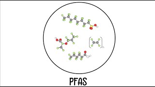 Why PFAS Should be Considered as a Class