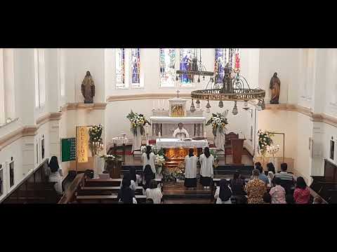 HAI MAKHLUK SEMUA (PS  672) - Versi Solist & Umat