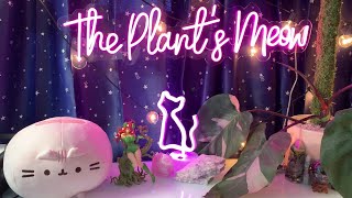 I'm Back! Warning: TMI & Sensitive Topics