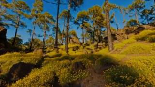 Third Day - Your Love Oh Lord Legendado HD