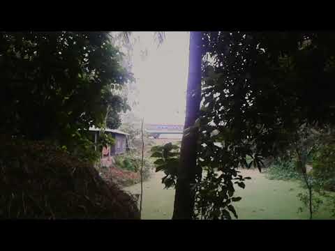 High Speed Broad Gauge Train Action in Bangladesh....