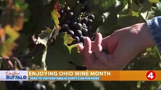 Daytime Buffalo: Ohio Wine Country | Sponsored by Tourism Ohio