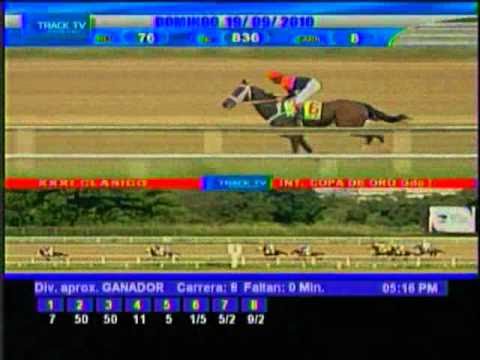 Clásico Copa de Oro de Venezuela 2010 (Gr. 1) - La Rinconada