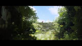 [初見大歓迎] （Stray）猫見て癒される